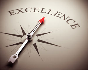 Year of Profession al Excellence