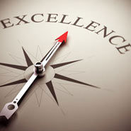 Year of Professional Excellence