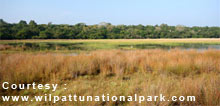 Wilpattu National Park