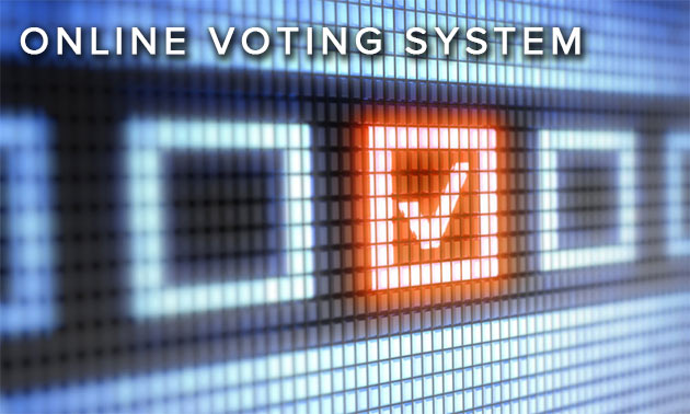 Online Voting System