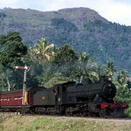 Class B1; The Workhorse of Sri Lankan Steam by Eng. D U L Peeligama 