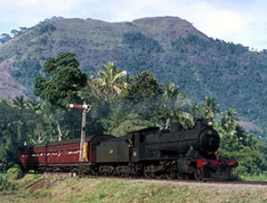 The Workhorse of Sri Lankan Steam