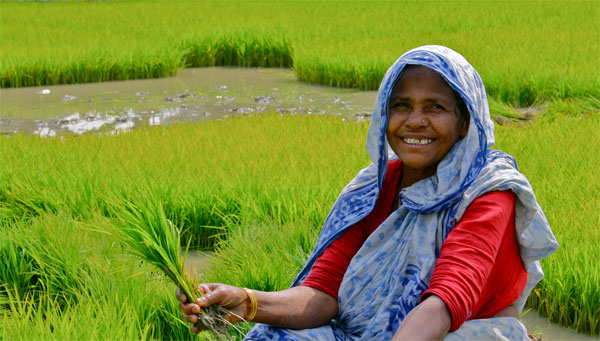 Iranamadu Irrigation Development Project