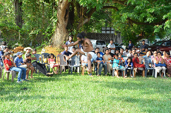 IESL New Year Festival 2017