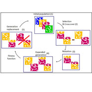 Genetic Algorithm Optimization 