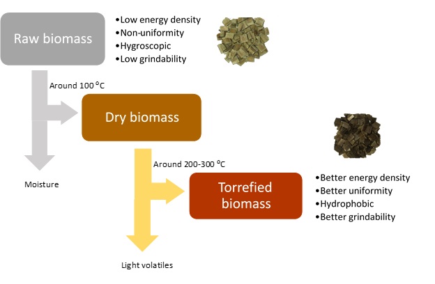 Learn more about Biomass Pellets Application, Production and Prospect