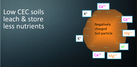 Importance of Compost